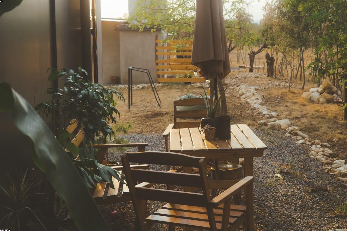Jardin paysager avec haie végétale taillée et terrasse en bois créés par Terre & Feuillage à Bordeaux