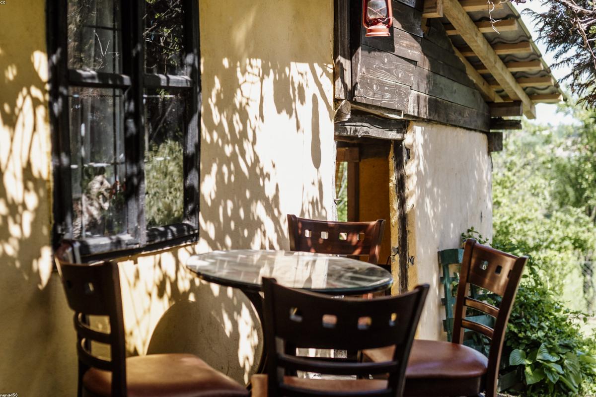 Terrasse en bois bordée d'une haie taillée et de massifs de graminées dans un jardin à Bordeaux
